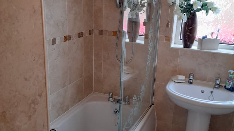 Small bathtub and shower with bath screen