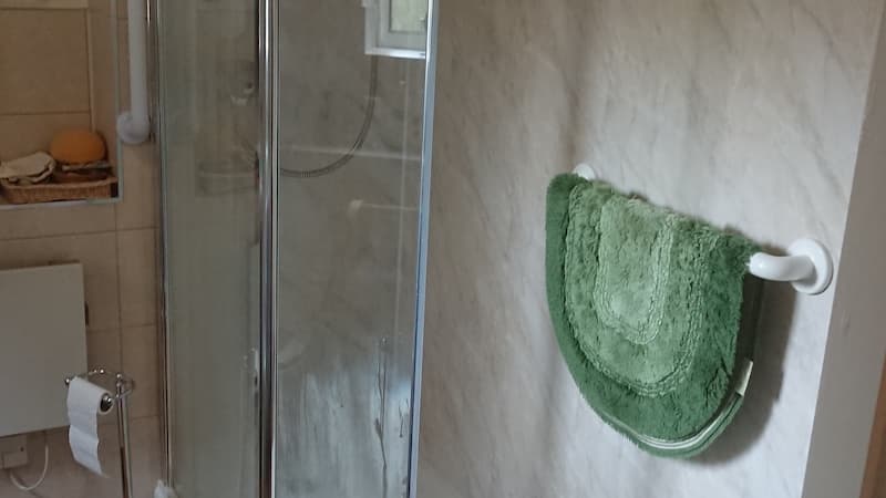 Walk in shower with green carpet hanging from handrails